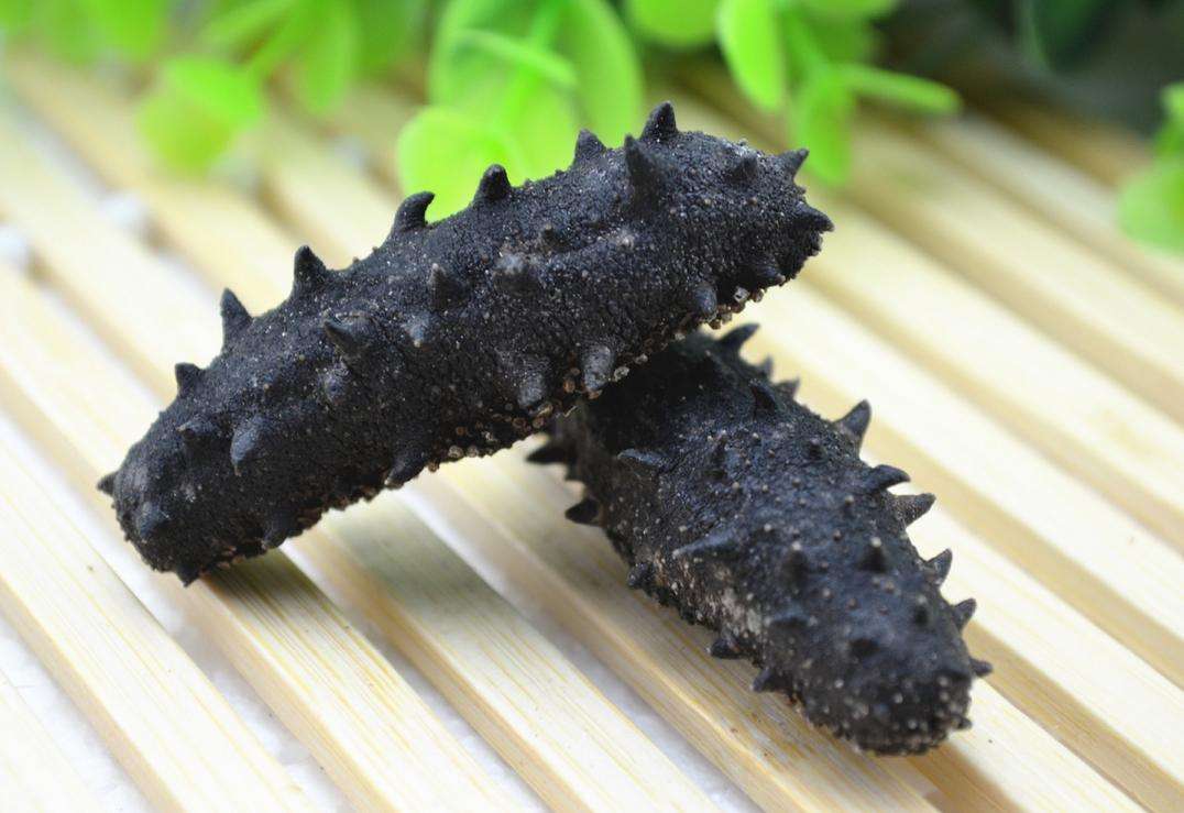 海參烘干 海參烘干