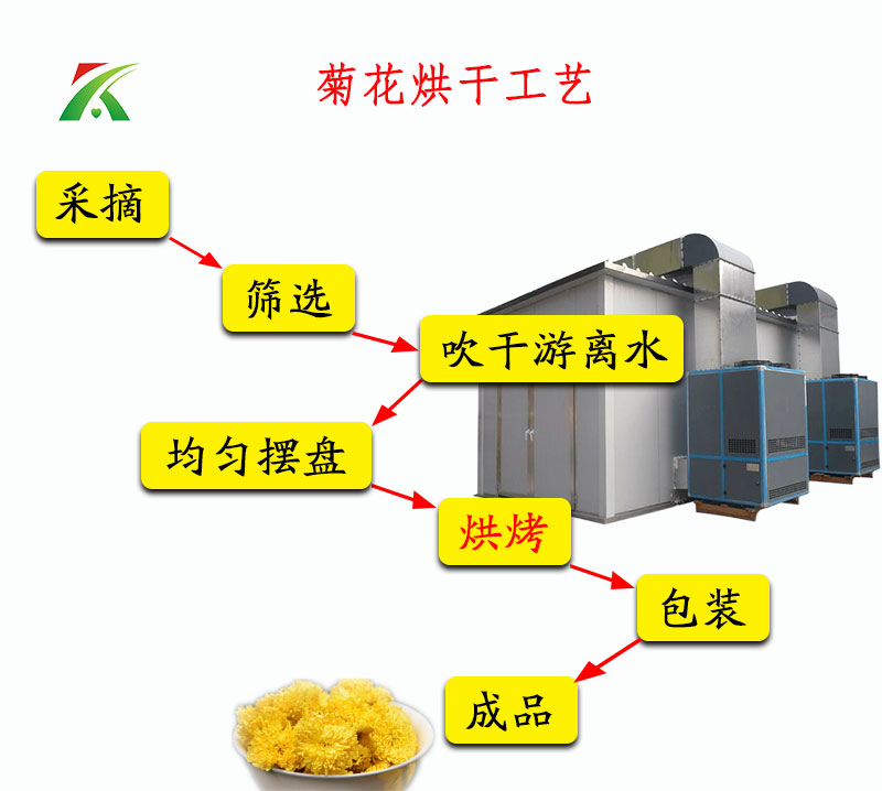 菊花烘干流程 菊花烘干流程