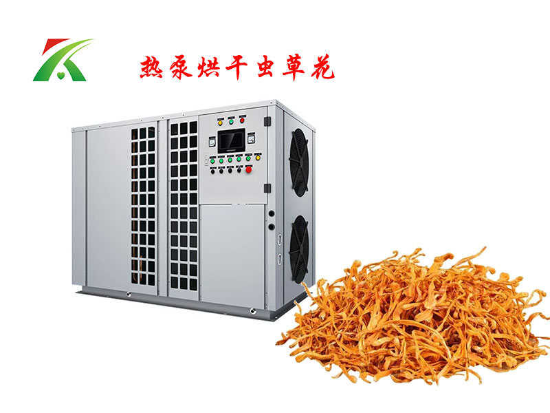 熱泵烘干蟲草花 熱泵烘干蟲草花